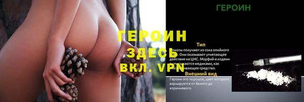 герыч Алексин