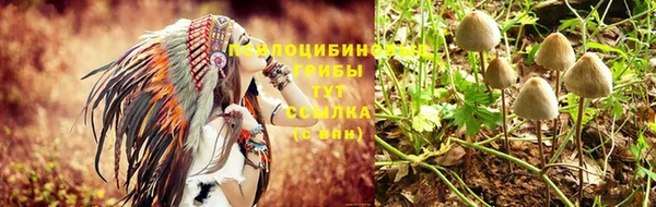 стафф Алексеевка